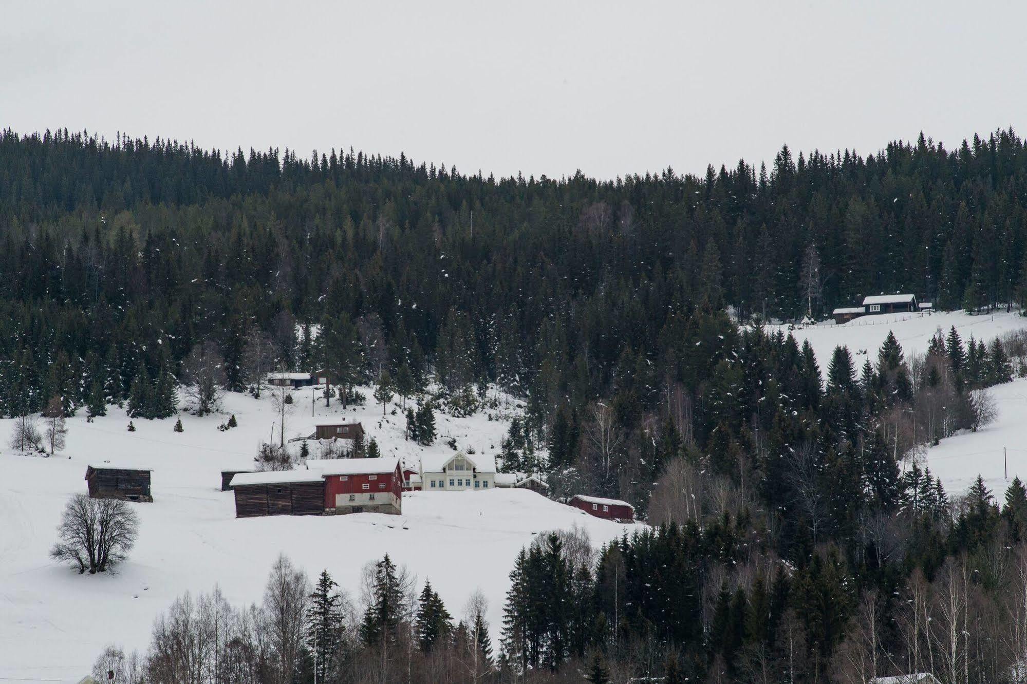 Eggedal Borgerstue Hotel Exterior photo